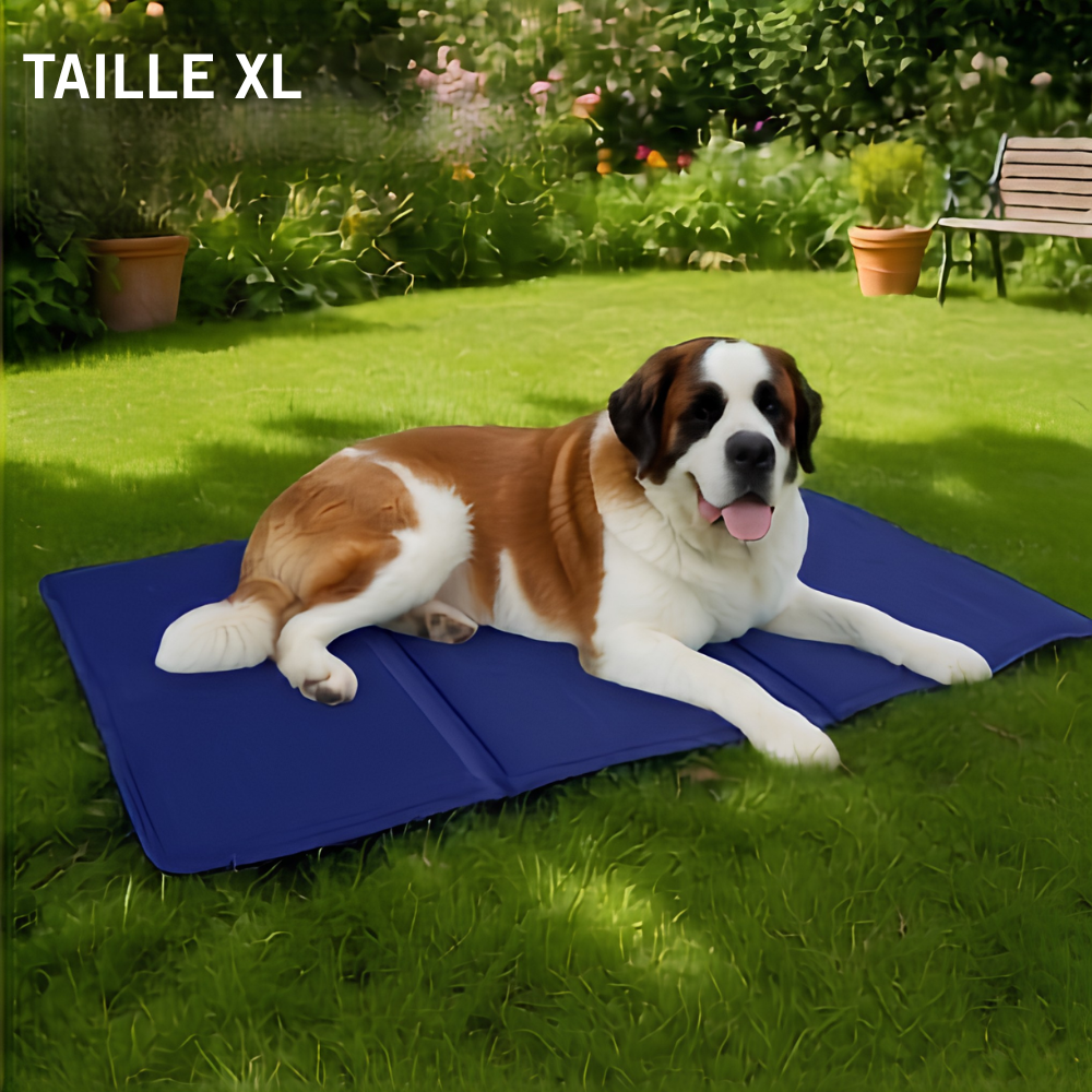 Tapis rafraichissant épais