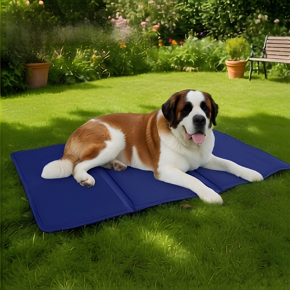 Tapis rafraichissant épais